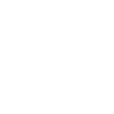 Trittbrett