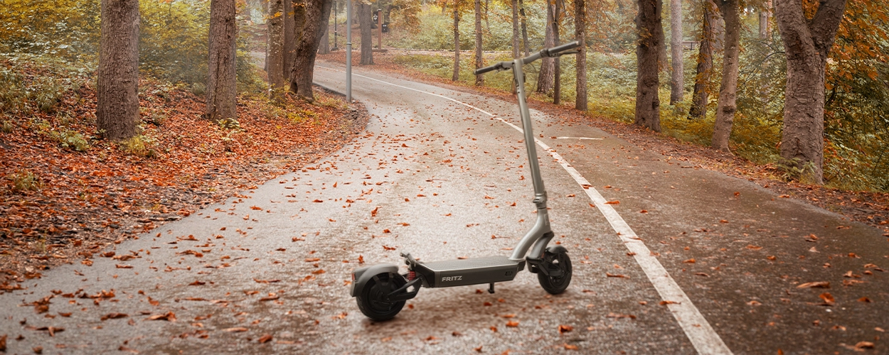 Trittbrett Fritz auf einer mit Laub befüllten regnerischen Straße